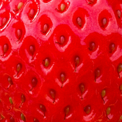 Images from Akō, Japan, where American contemporary artist Gina Keatley lives and works, reflecting a practice shaped by geography, observation, and cultural dialogue.