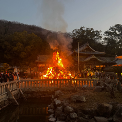 Images from Akō, Japan, where American contemporary artist Gina Keatley lives and works, reflecting a practice shaped by geography, observation, and cultural dialogue.