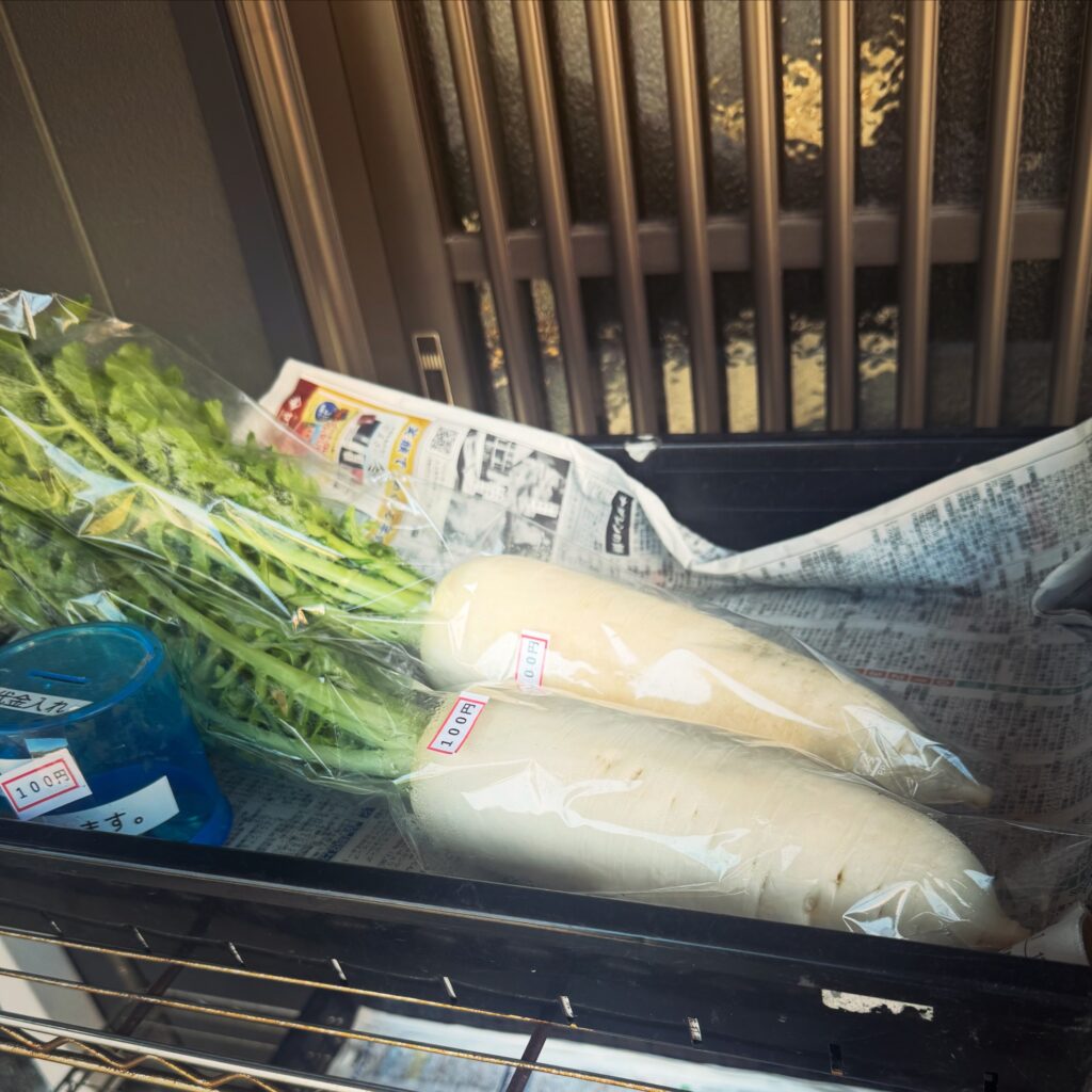 Images from Akō, Japan, where American contemporary artist Gina Keatley lives and works, reflecting a practice shaped by geography, observation, and cultural dialogue.